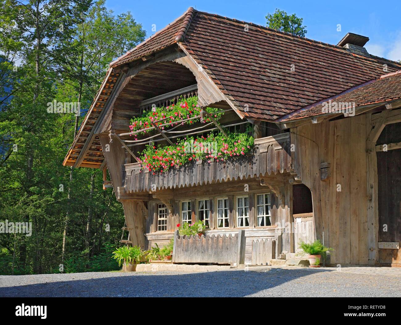 Freilichtmuseum Ballenberg, Berner Oberland, Schweiz, Europa Stockfoto