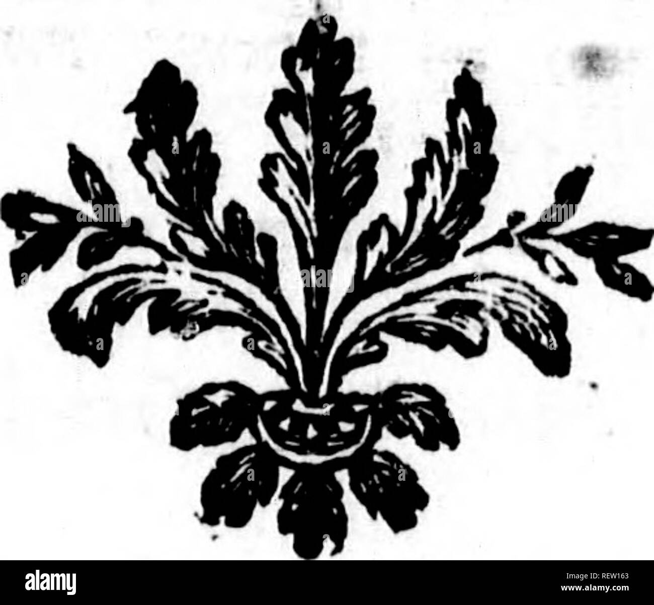 . Histoire Naturelle, Générale et particuliÃ¨re [microforme]. Sciences Naturelles; Natural History. Je la LoutreÂ" 235 Zoutre du Brefil, &Amp; qui fe auffÃ® trouve à Cayenne (f), paroÃ® t Ãªtre d'une efpÃ ¨ ce voifine, mais diffÃ©Rente, au lieu que la loutre de l'AniÃ©rique fcptentrionale rcf-femblc en tout à Celle d'Europe, fi ce n'efl que la'fourrure efl Encore plus Noire&amp; Pius belle que Celle de la loutre de SuÃ¨de ou de Mofcovie (g), (f) Latra nigricans, caudft dep^e^i wenn ghlraÂ" BarrÃ¨re. Hijl, delÃ FranceÃ quÃ©® noxiale, Seite ich jS* (g) Voyei ich "voyage de la Hontan, Toms, wenn im Stockfoto