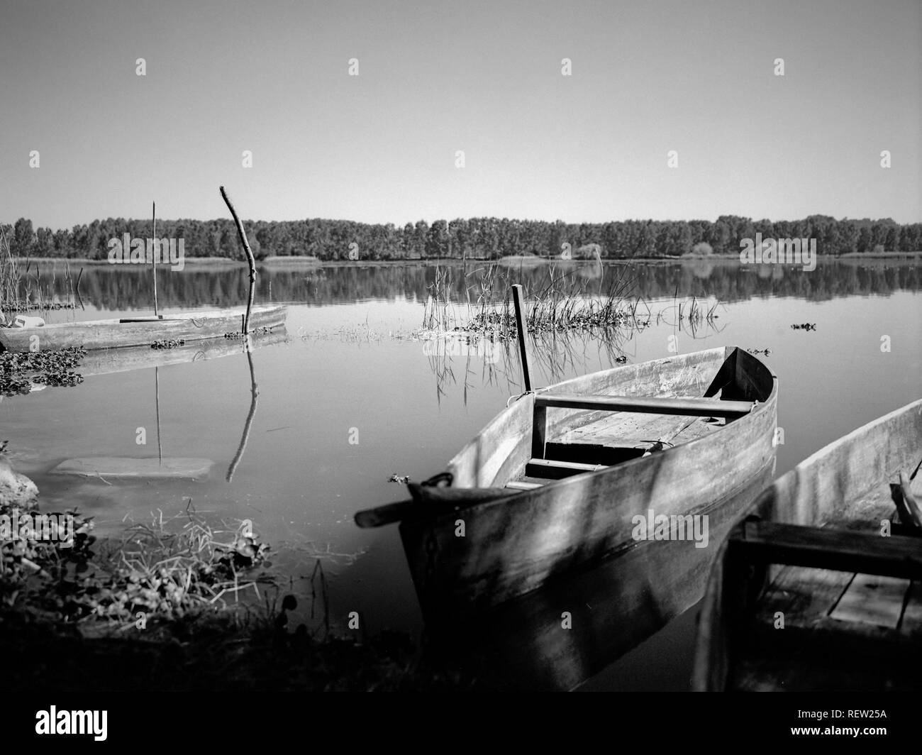 Typische kleine Boote von de Pateira Fermentelos, Portugal. (Analog: Schwarz und Weiß 120 Film) Stockfoto