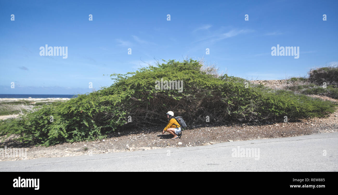 Junge Mädchen Wandern auf Aruba Stockfoto