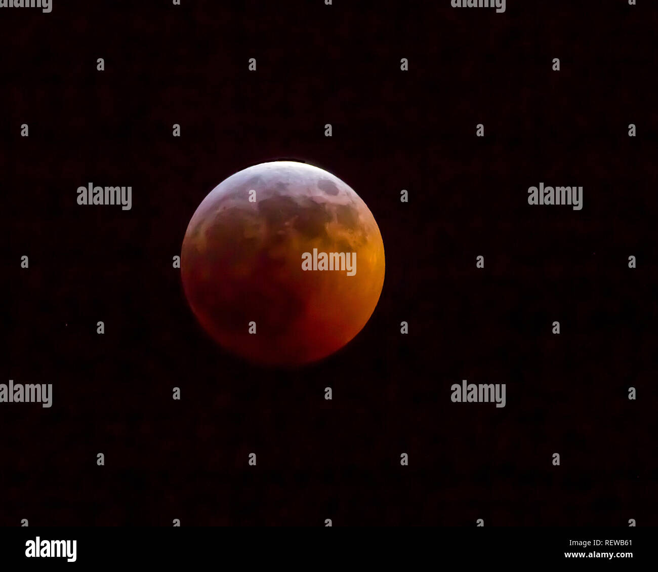 Die Januar 20, 2019 Super Blut Wolf Mond als von Charlotte, North Carolina. Stockfoto