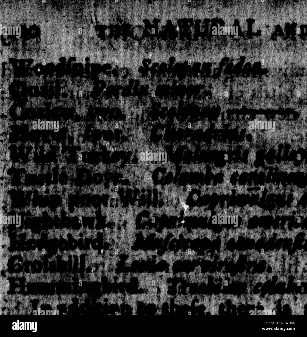 . Der natürliche und der Geschichte von Vermont [microform]. Natural History; Baron. V*' p^t&gt; Jf t l^^ ltl. • -" 4 ^d?^.^ Ich 2!."&gt;^'..,^* Ich^;'' X. '.?., 'Mirc | t ol 4 "Mr-Idl, iMi^K | ni^^", "^ nKkfrjptQUll fipom ihr Herr fiifii | Th | Ant comge, t|leJn" illi#i" "lii | Infill ^w^^ lffk oTciihpi. : Fisch E S, der grttt Vielfalt der fifh, vhidk natniw liM | ii 9 - in den Gewässern von Amerika in Scheiben geschnitten, Jtot • fniaU foond faft sind in der intefnia ptffta der oon^ HMt. Die laifeU ccdlraton von wateit, die wir Heu ^V^r - niont, sind die La | ft 6^^ ai | itaii MeOmhrefnagogi CoffiEie&amp; iait Fluss, Wj ^h Die Stockfoto