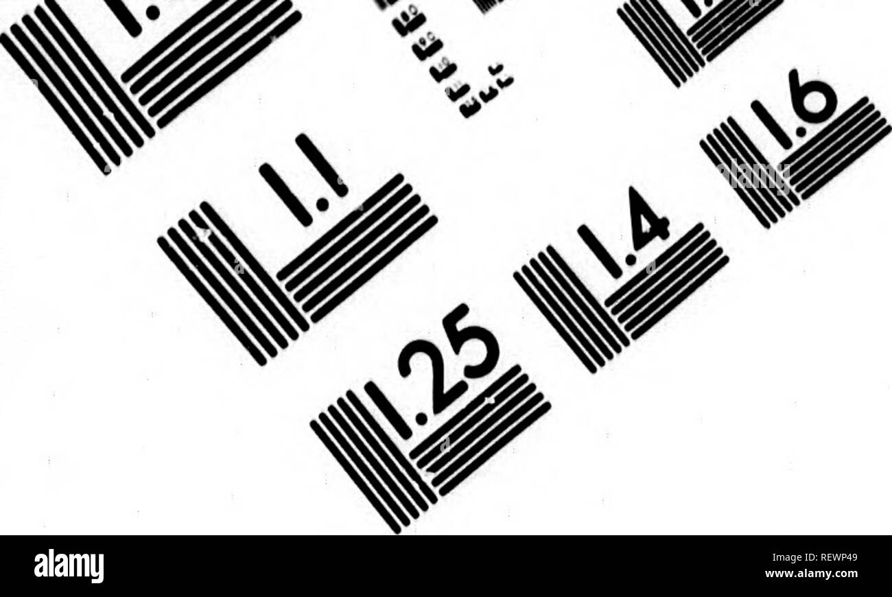 . Anhang [Kapitän Parry's Journal [Einer] Zweite Reise [für] die Entdeckung der Nordwestpassage vom Atlantik bis zum Pazifik [microform]]: [in] durchgeführt, seine Schiffe Majesty's Fury und Hecla, [in] der Jahre 1821-22-23. Wissenschaft; Botanik; Wissenschaft; Botanique. ^&gt;. Bild TEST ZUR BEURTEILUNG ZIEL (MT-3). Bitte beachten Sie, dass diese Bilder sind von der gescannten Seite Bilder, die digital für die Lesbarkeit verbessert haben mögen - Färbung und Aussehen dieser Abbildungen können nicht perfekt dem Original ähneln. extrahiert. Parry, William Edward, Sir, 1790-1855; Parry, William Edward, Sir. Stockfoto