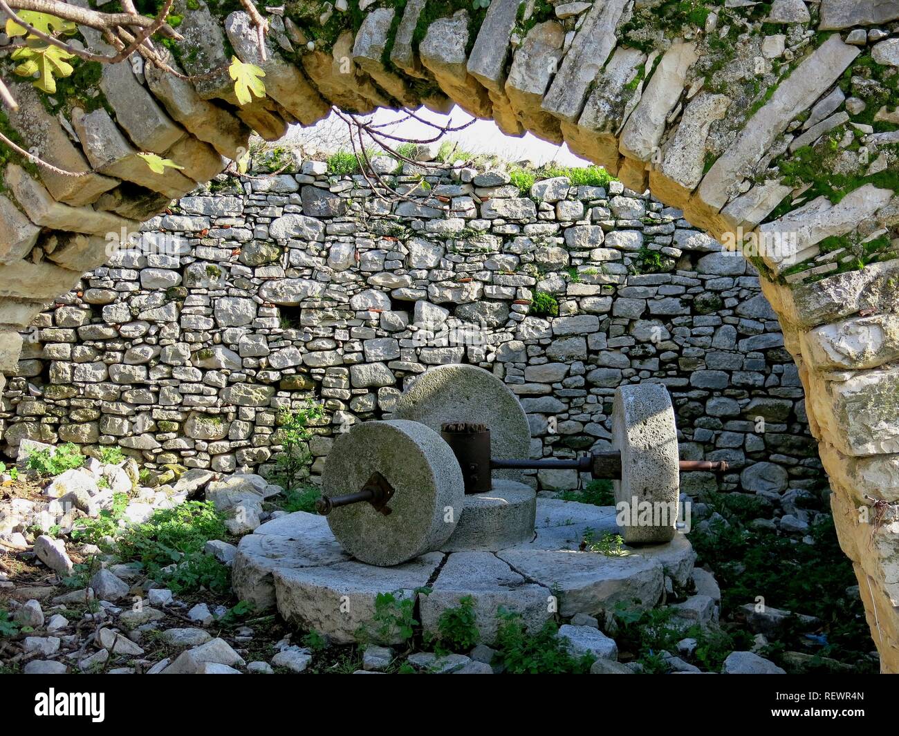 Alte Olivenbäume Mühle. Stockfoto