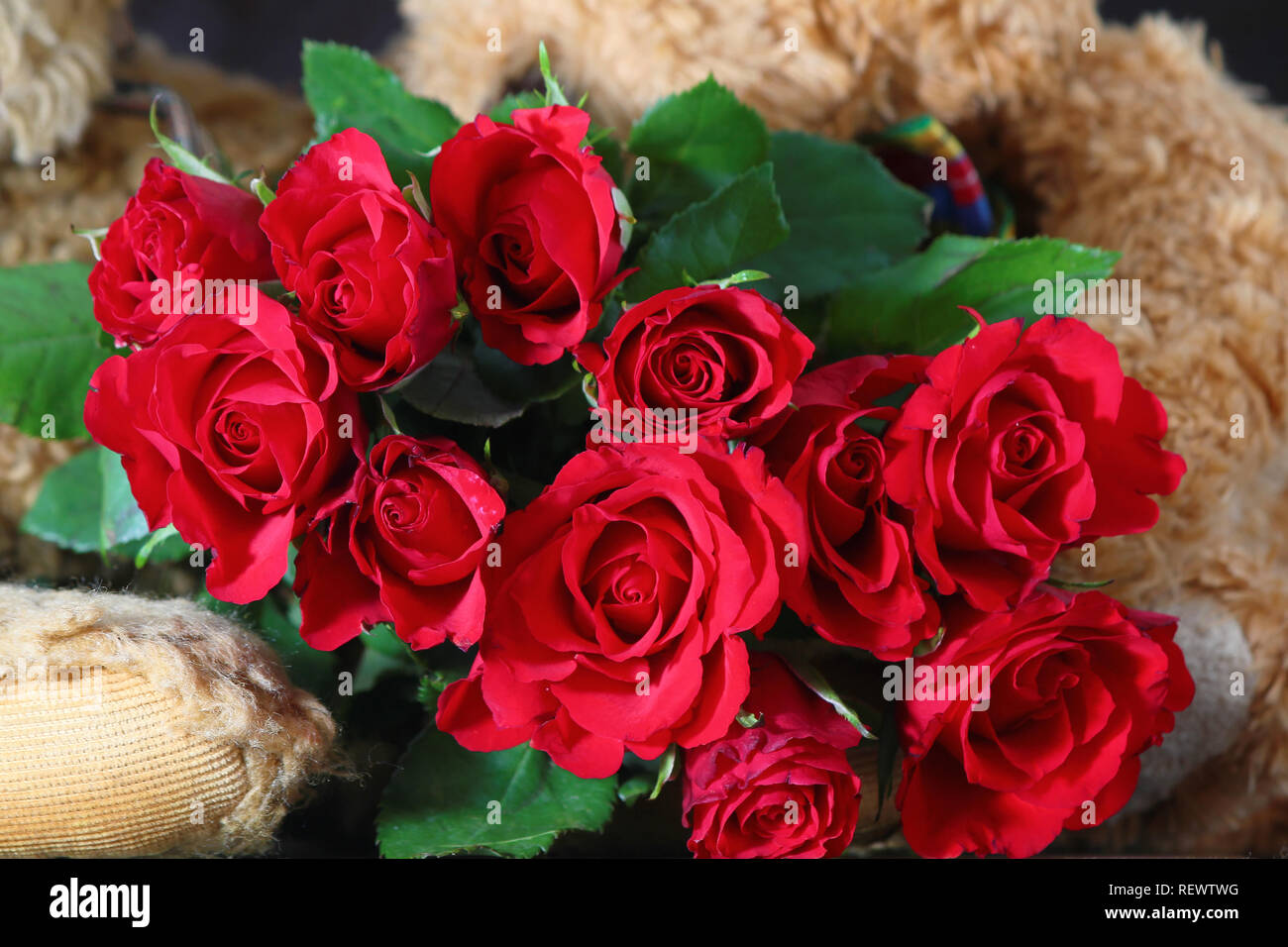 Strauss Rote Rosen Zum Valentinstag Jubilaum Oder Hochzeit Stockfotografie Alamy
