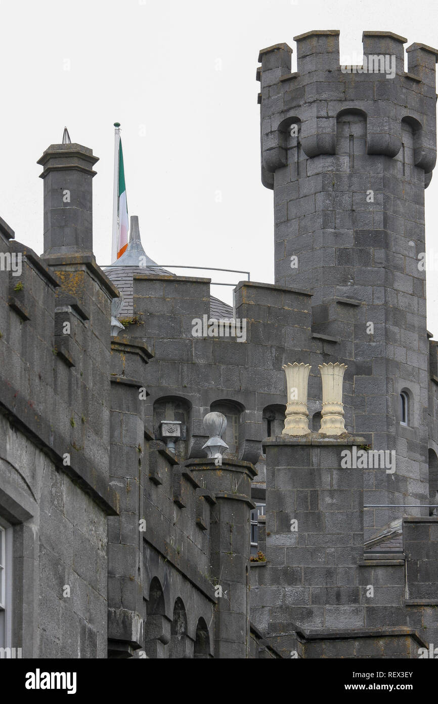 Zinnen, Schornstein Töpfe und Revolver auf ein irisches Schloss. Irische Trikolore auf Schloss Kilkenny, Kilkenny, Irland. Stockfoto