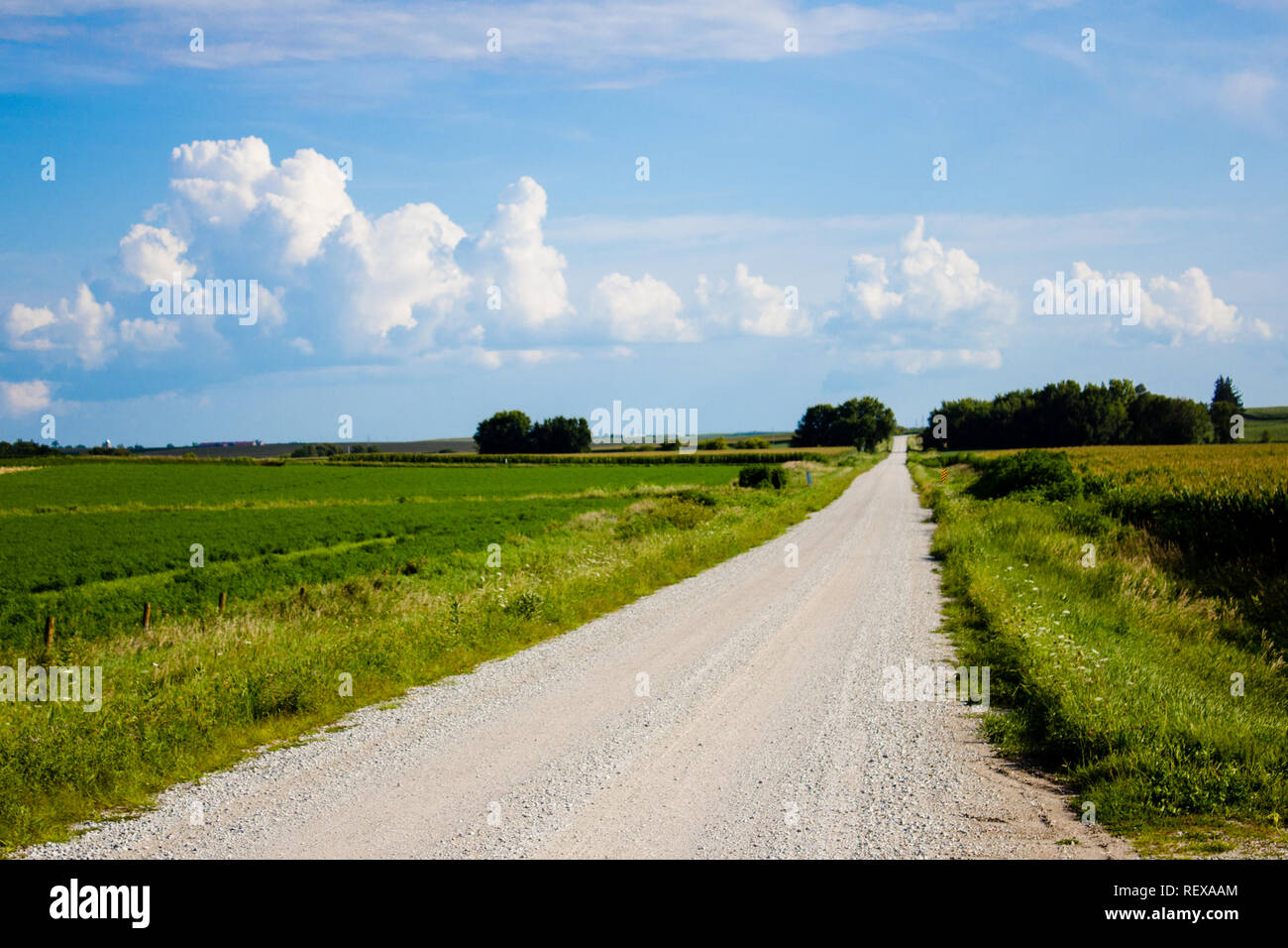 Schotterstraße in der Landschaft im Mittleren Westen der USA im Sommer Stockfoto
