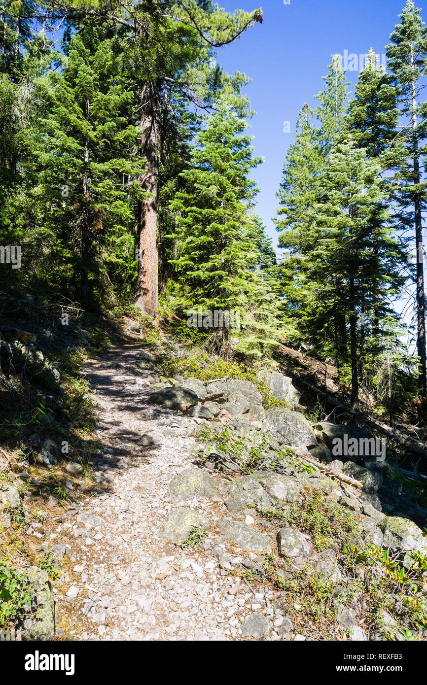 Wanderweg nach oben Black Butte, in der Nähe von Shasta Berg, Siskiyou County, Nordkalifornien Stockfoto