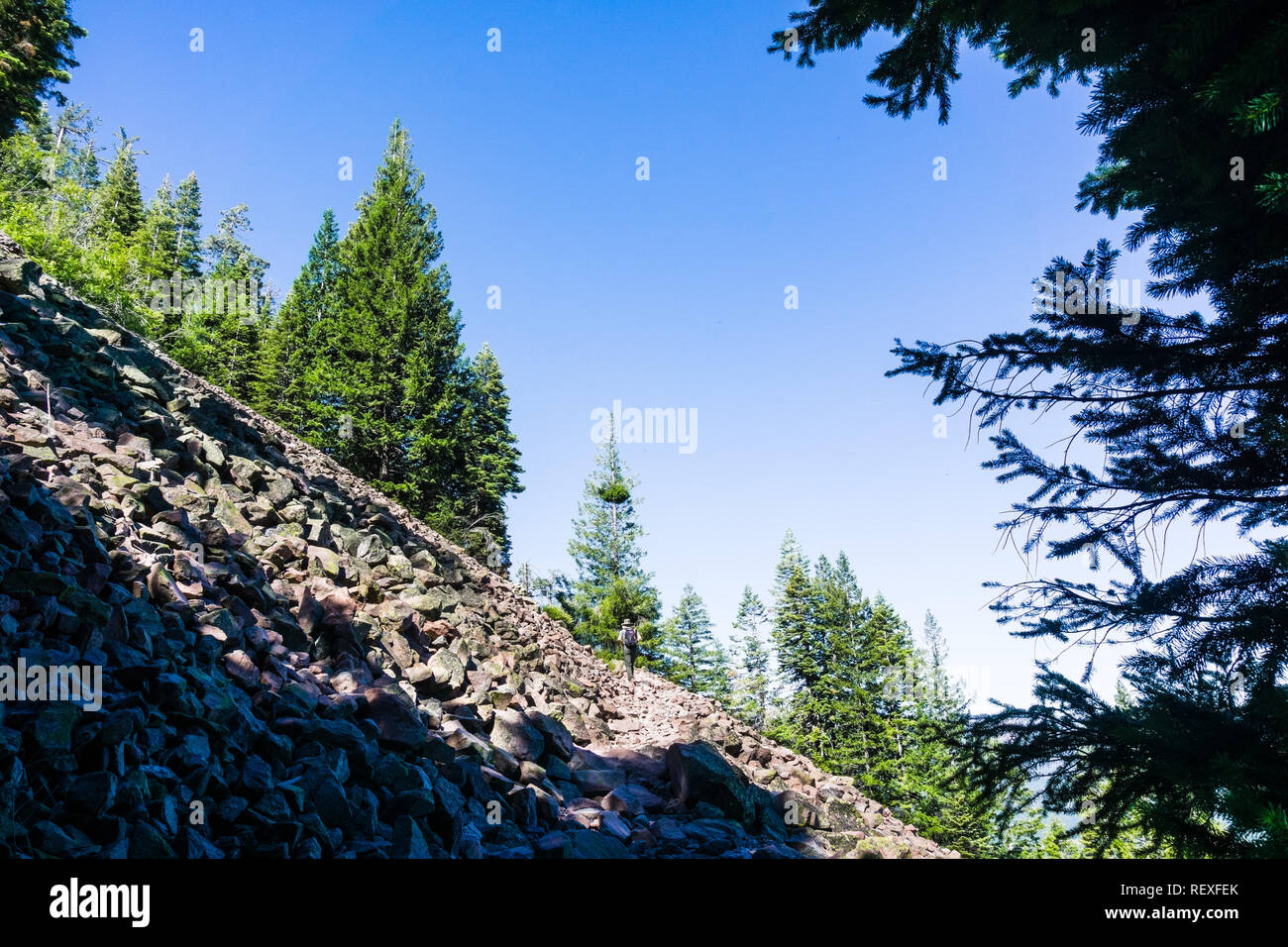 Wanderweg nach oben Black Butte, in der Nähe von Shasta Berg, Siskiyou County, Nordkalifornien Stockfoto