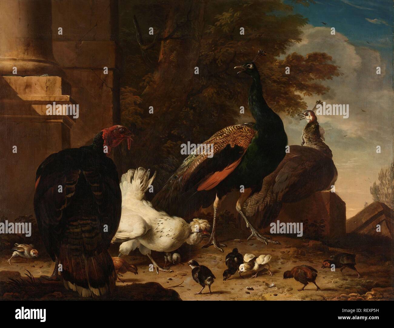 Eine Glucke mit Pfauen und die Türkei. Dating: C. 1680. Maße: h 134 cm x w 174,5 cm; d 11,5 cm. Museum: Rijksmuseum, Amsterdam. Autor: Melchior d'Hondecoeter. Stockfoto