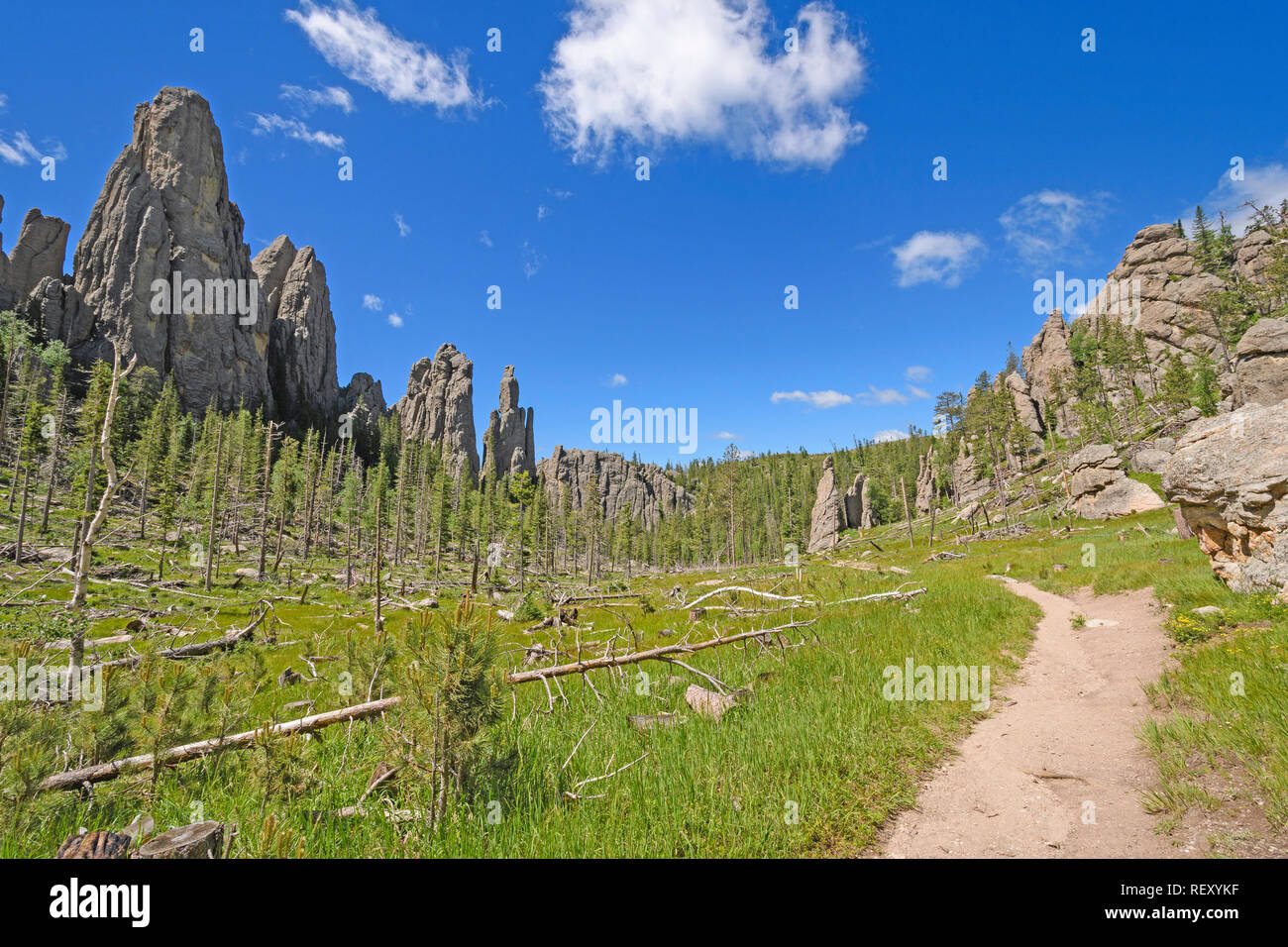 Ruhigen Trail durch ein Tal in den Nadeln und die Türme des Doms Sektion der Black Hills im Custer State Park in South Dakota Stockfoto