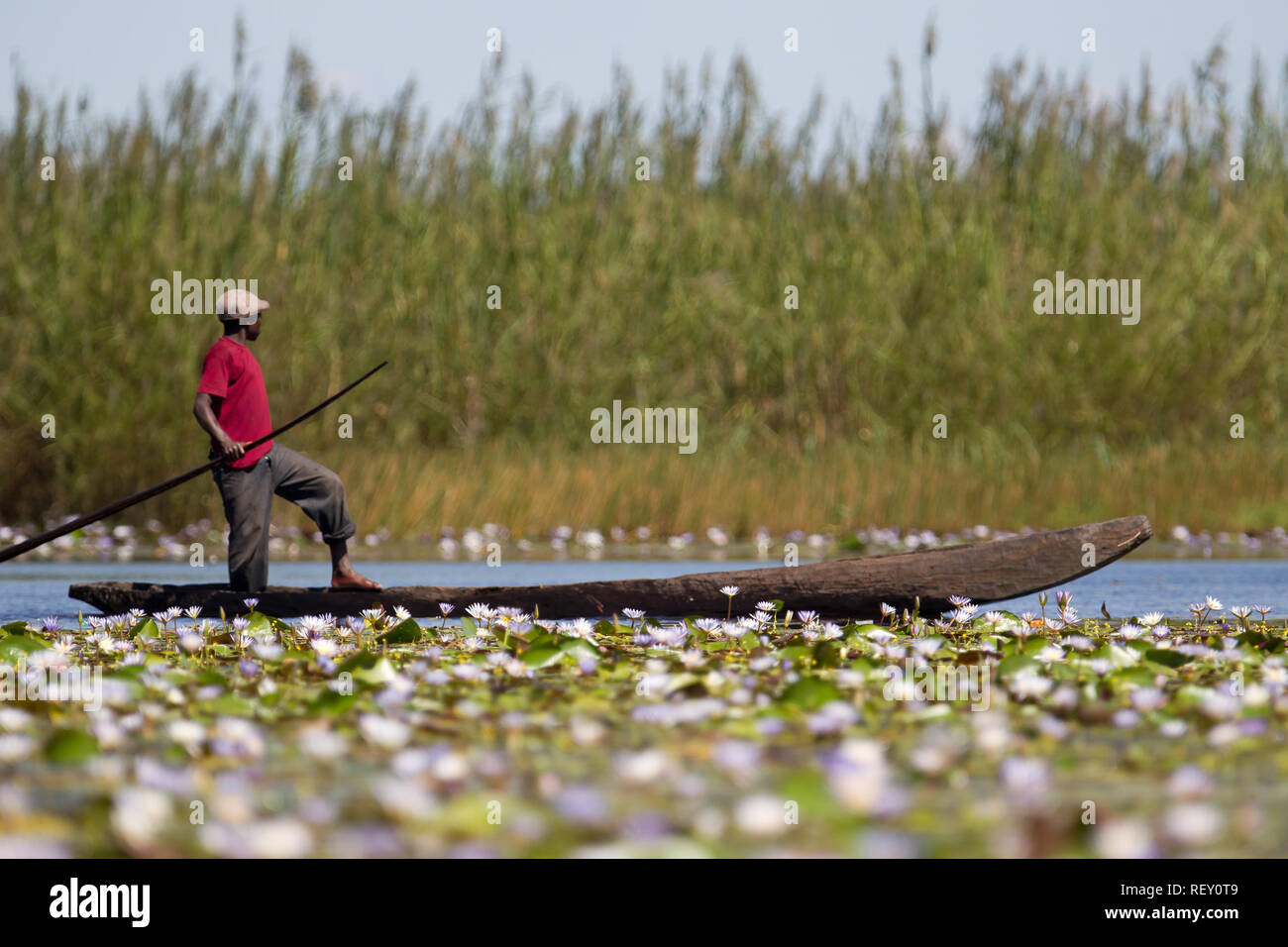 Angeln ist eine primäre wirtschaftliche Aktivität für Menschen in und um Bangweulu Feuchtgebiete, Sambia. Stockfoto
