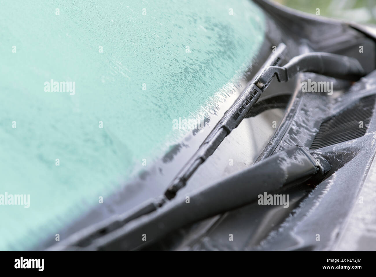 Frost bedeckte weiße Motorhaube, Scheibenwischer und