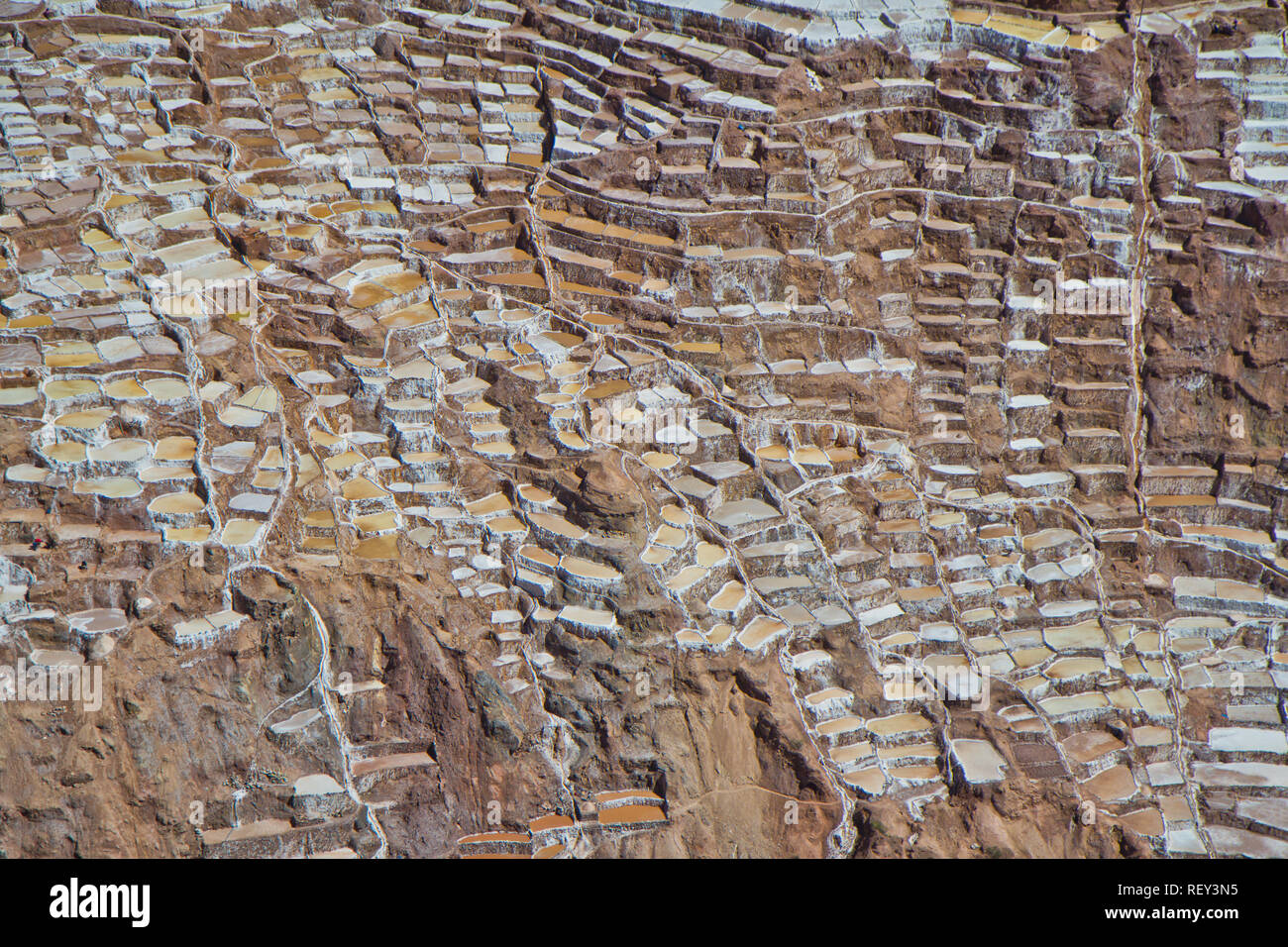 Salinen von Maras. Seit Vor-Inka Zeiten, Salz hat in Maras durch Verdampfen salziges Wasser von einem lokalen unterirdischen Strom gewonnen. Stockfoto