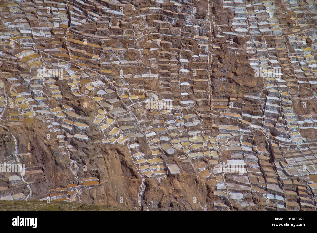 Salinen von Maras. Seit Vor-Inka Zeiten, Salz hat in Maras durch Verdampfen salziges Wasser von einem lokalen unterirdischen Strom gewonnen. Stockfoto