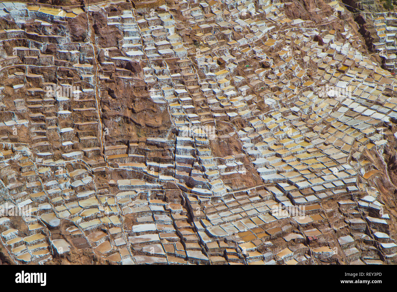 Salinen von Maras. Seit Vor-Inka Zeiten, Salz hat in Maras durch Verdampfen salziges Wasser von einem lokalen unterirdischen Strom gewonnen. Stockfoto