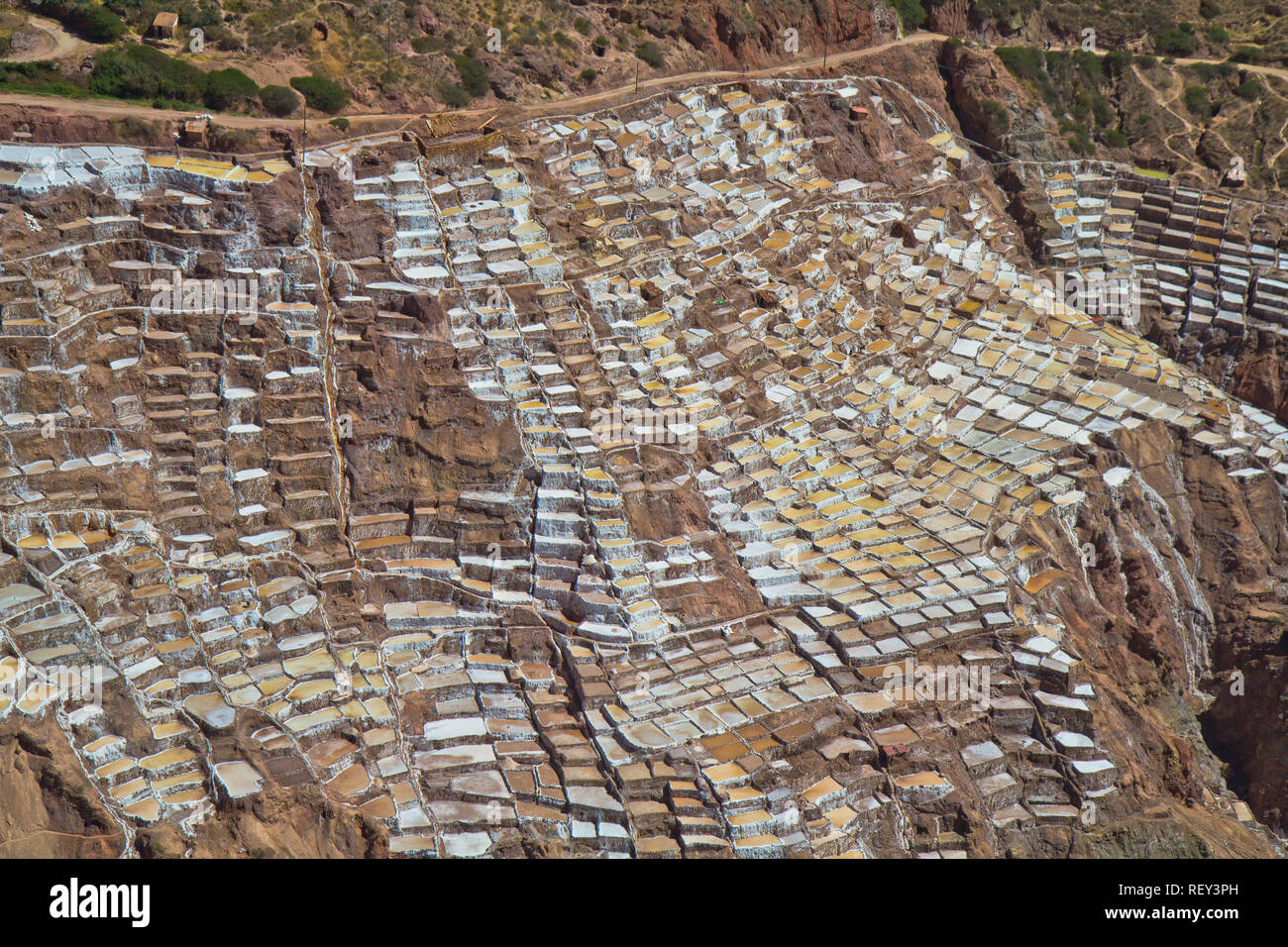 Salinen von Maras. Seit Vor-Inka Zeiten, Salz hat in Maras durch Verdampfen salziges Wasser von einem lokalen unterirdischen Strom gewonnen. Stockfoto