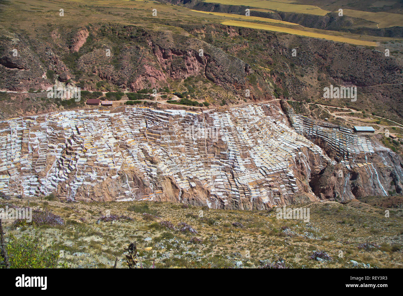 Salinen von Maras. Seit Vor-Inka Zeiten, Salz hat in Maras durch Verdampfen salziges Wasser von einem lokalen unterirdischen Strom gewonnen. Stockfoto