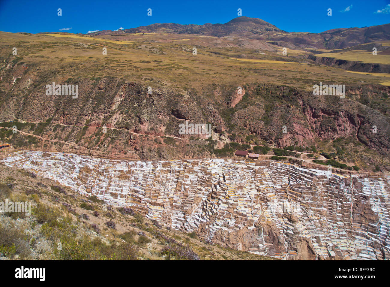 Salinen von Maras. Seit Vor-Inka Zeiten, Salz hat in Maras durch Verdampfen salziges Wasser von einem lokalen unterirdischen Strom gewonnen. Stockfoto