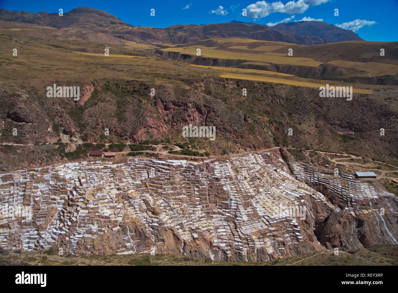 Salinen von Maras. Seit Vor-Inka Zeiten, Salz hat in Maras durch Verdampfen salziges Wasser von einem lokalen unterirdischen Strom gewonnen. Stockfoto