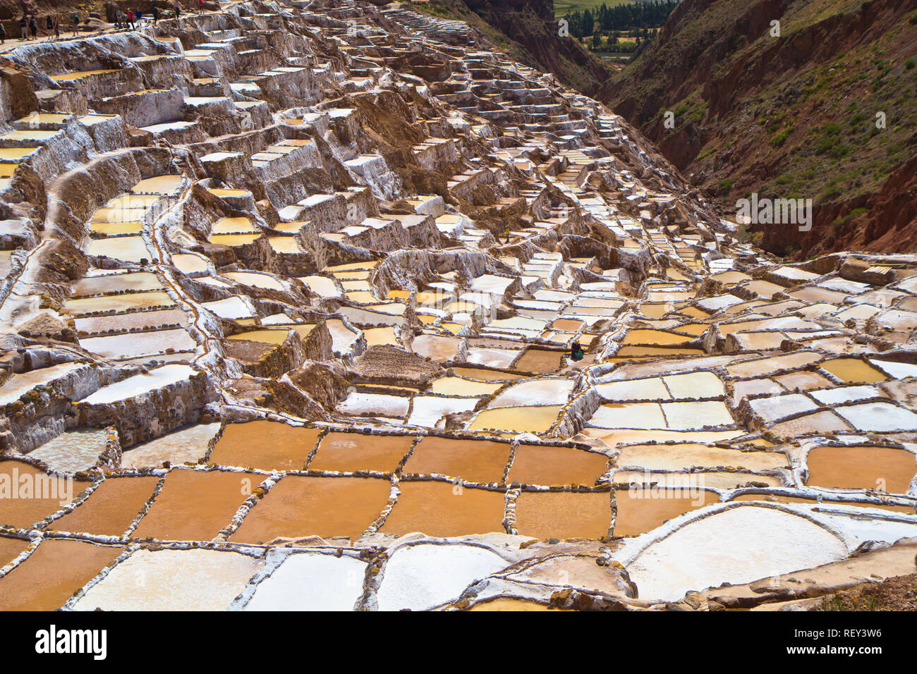 Salinen von Maras. Seit Vor-Inka Zeiten, Salz hat in Maras durch Verdampfen salziges Wasser von einem lokalen unterirdischen Strom gewonnen. Stockfoto