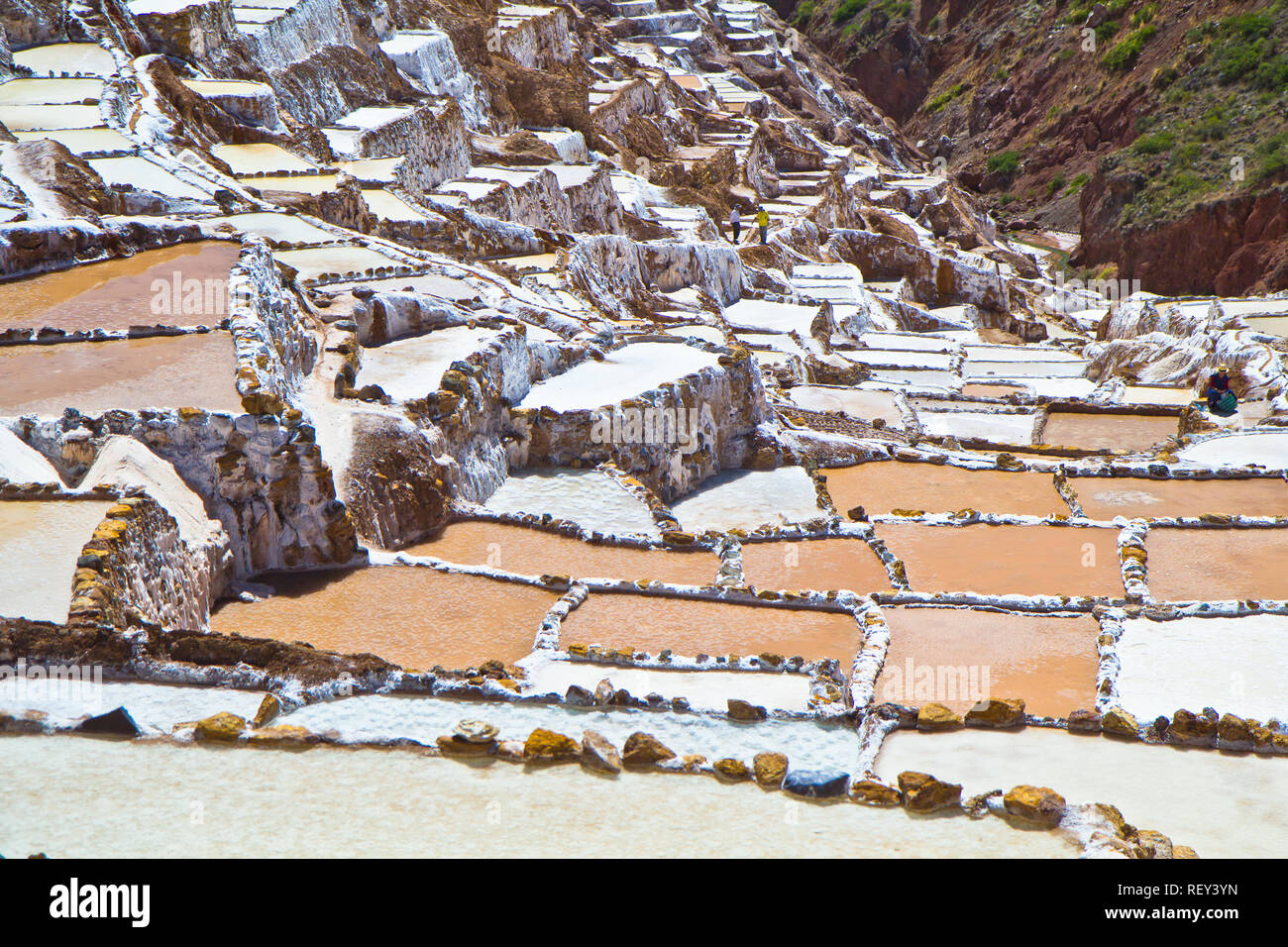 Salinen von Maras. Seit Vor-Inka Zeiten, Salz hat in Maras durch Verdampfen salziges Wasser von einem lokalen unterirdischen Strom gewonnen. Stockfoto