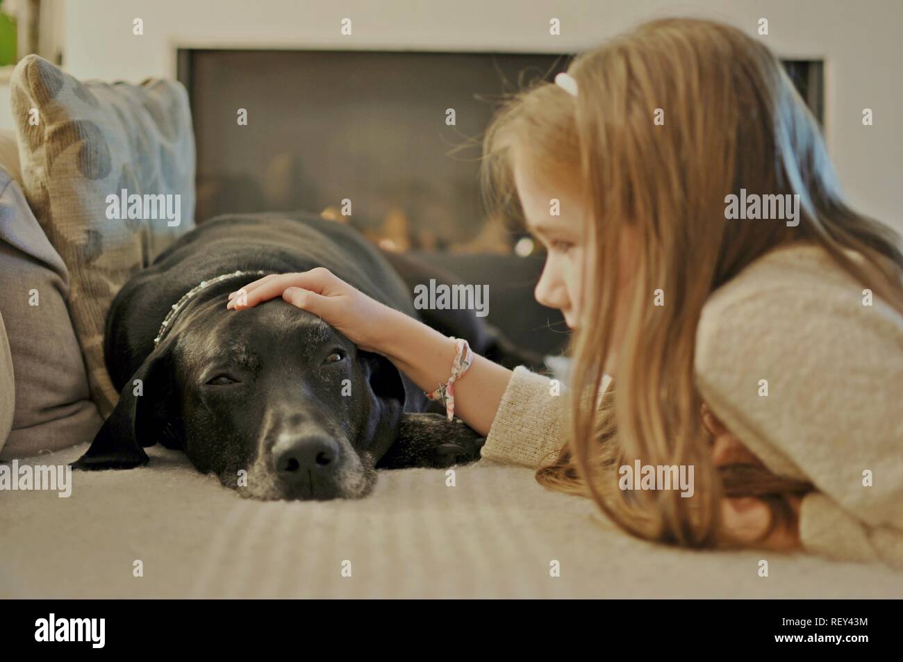 Blick auf ein Mädchen streicheln einer alten schwarzen großen Hund, der auf der Couch liegt. Stockfoto
