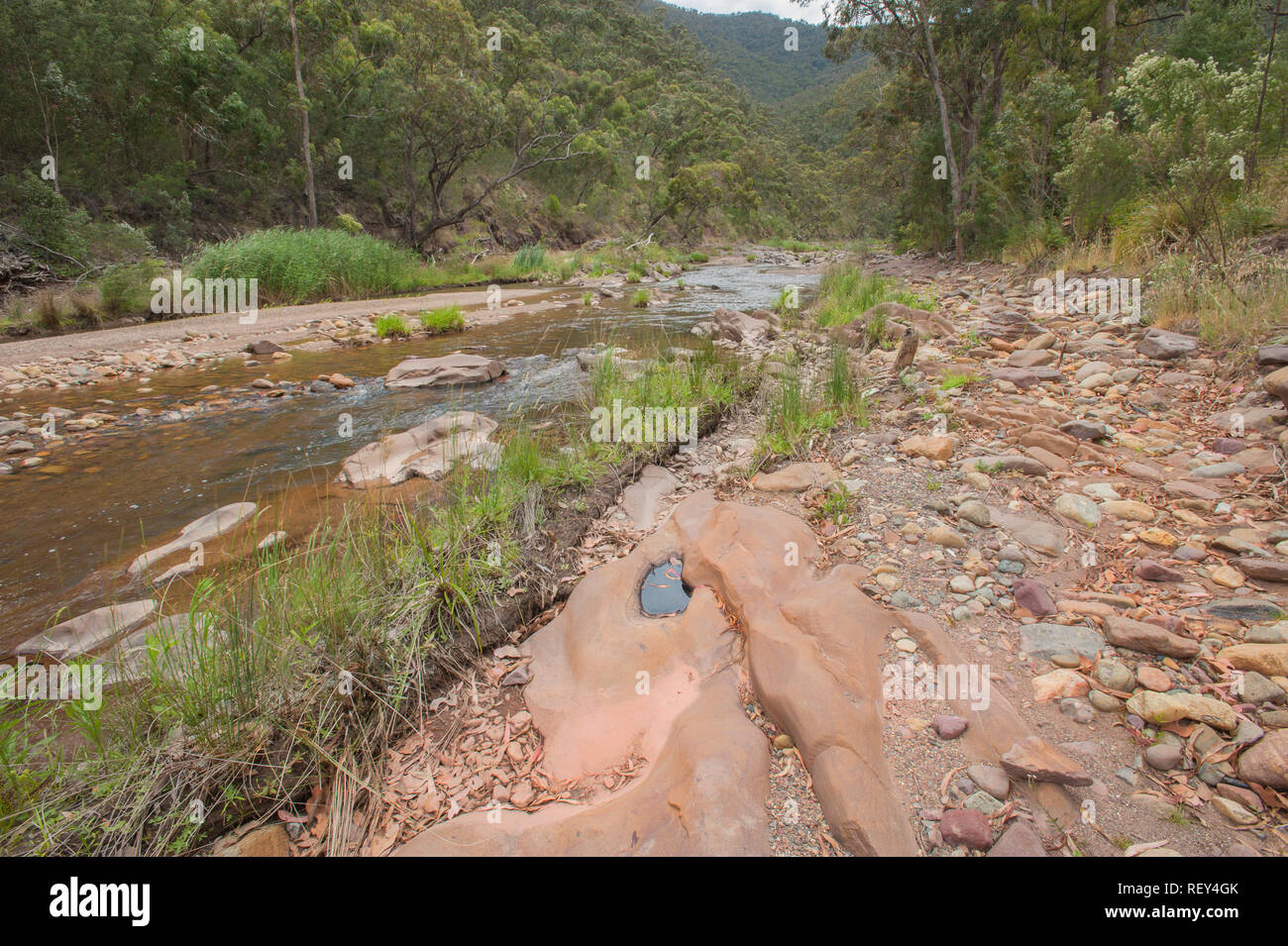 Creek in der Viktorianischen High Country, Victoria, Australien Stockfoto