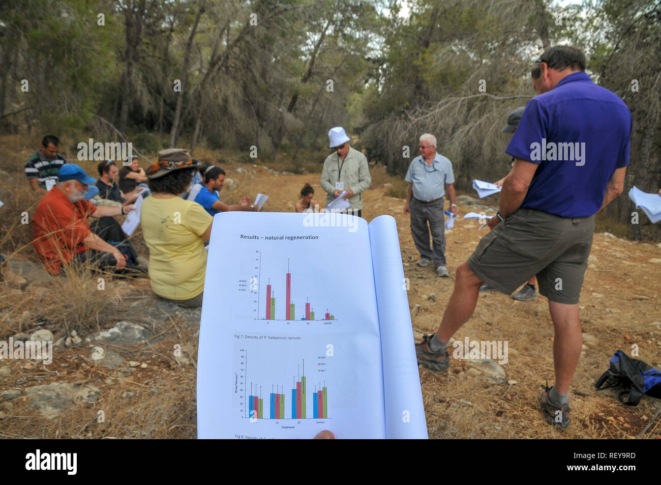 Wissenschaftliche tour, MedPine 6 mediterrane Ökosystem Wald: Forstwirtschaft, Ökologie, Naturschutz, und die menschliche Nutzung der 6. Internationalen Konferenz Oktober 2018 Stockfoto