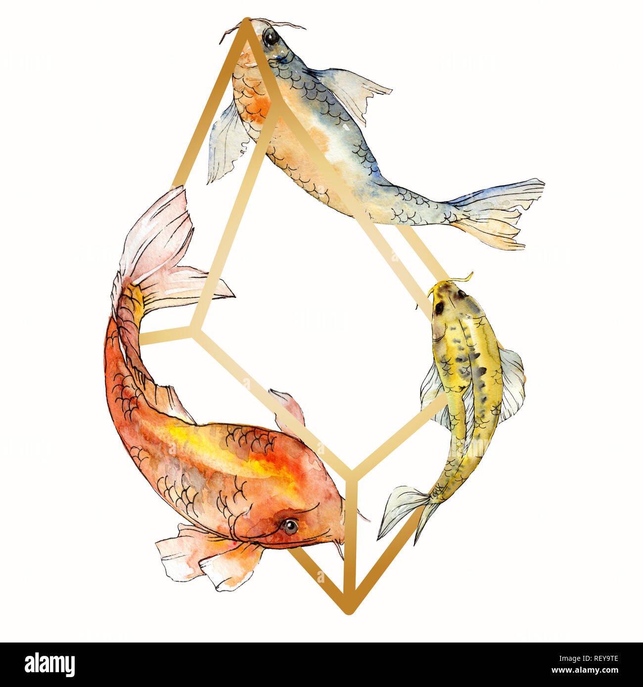 Aquarell aquatische Unterwasser bunten tropischen Fischen. Rotes Meer und exotische Fische drinnen: Goldfisch. Aquarelle Elemente für Hintergrund, Textur, Wickeln Stockfoto