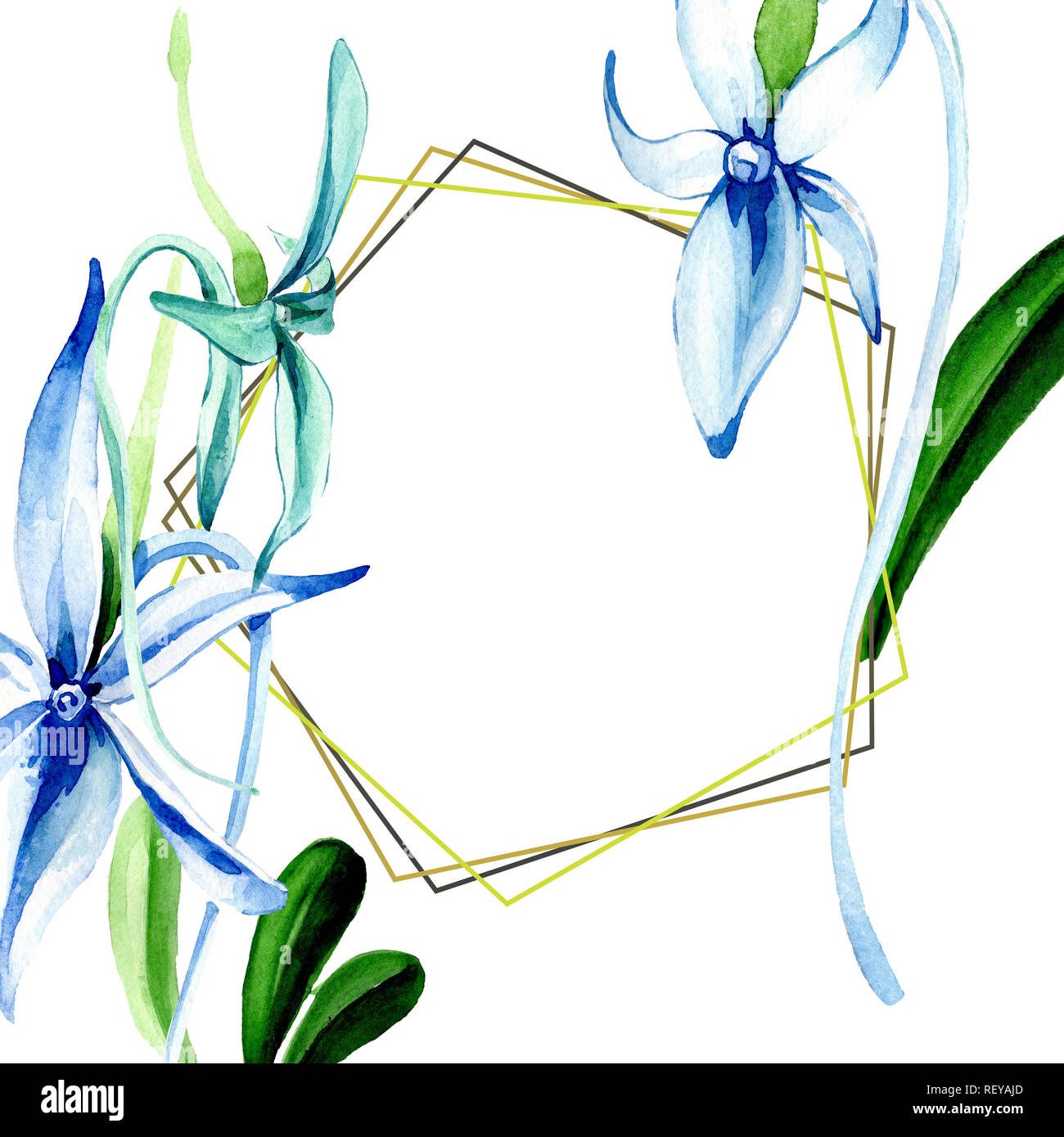 Blau seltene Orchidee. Florale botanischen Blume. Wild Federblatt wildflower isoliert. Aquarell Hintergrund Abbildung. Aquarell Zeichnung Mode ein Stockfoto