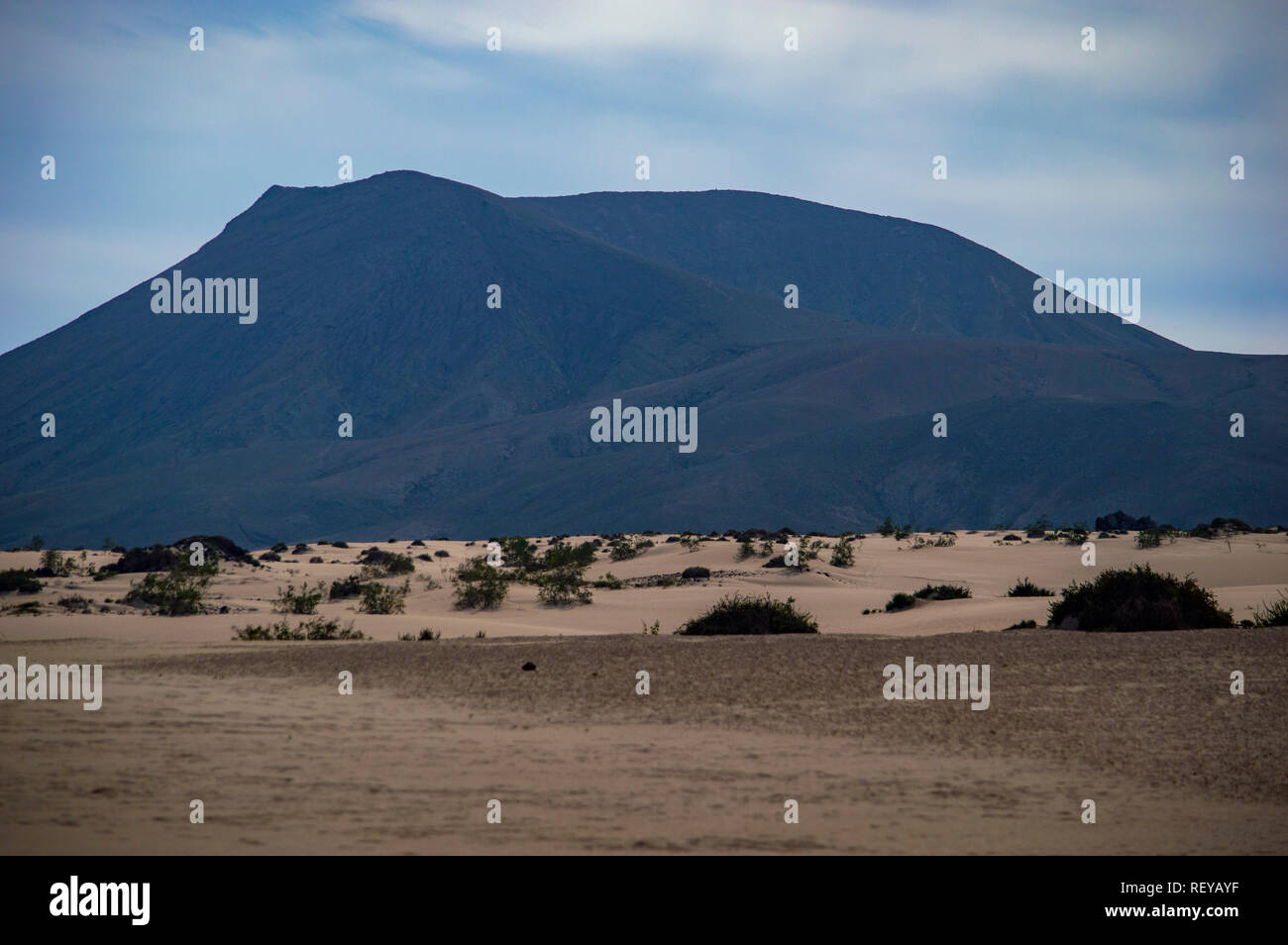 Naturpark von Corralejo auf Fuerteventura, Kanarische Inseln Stockfoto