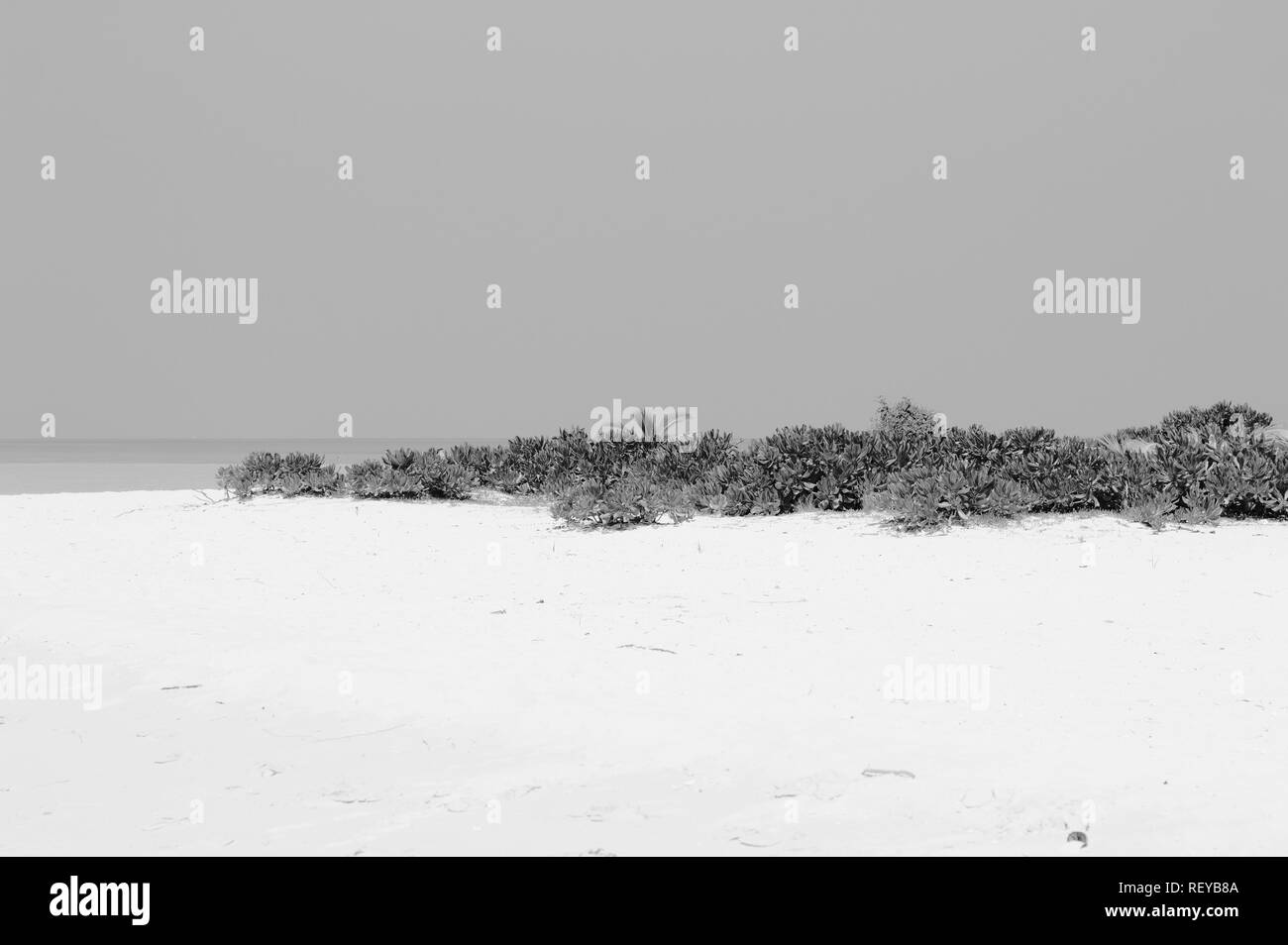 Einsame Insel auf den Malediven (Ari Atoll) Stockfoto
