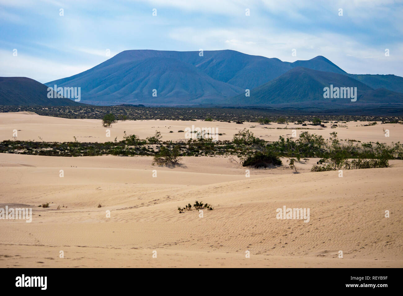 Naturpark von Corralejo auf Fuerteventura, Kanarische Inseln Stockfoto