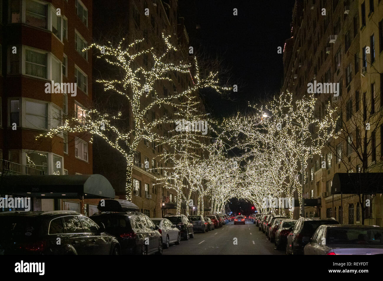 New York, USA, 22. Januar 2019. Bäume sind mit Lichtern in der Upper East Side Street in New York City geschmückt. Foto von Enrique Ufer Stockfoto