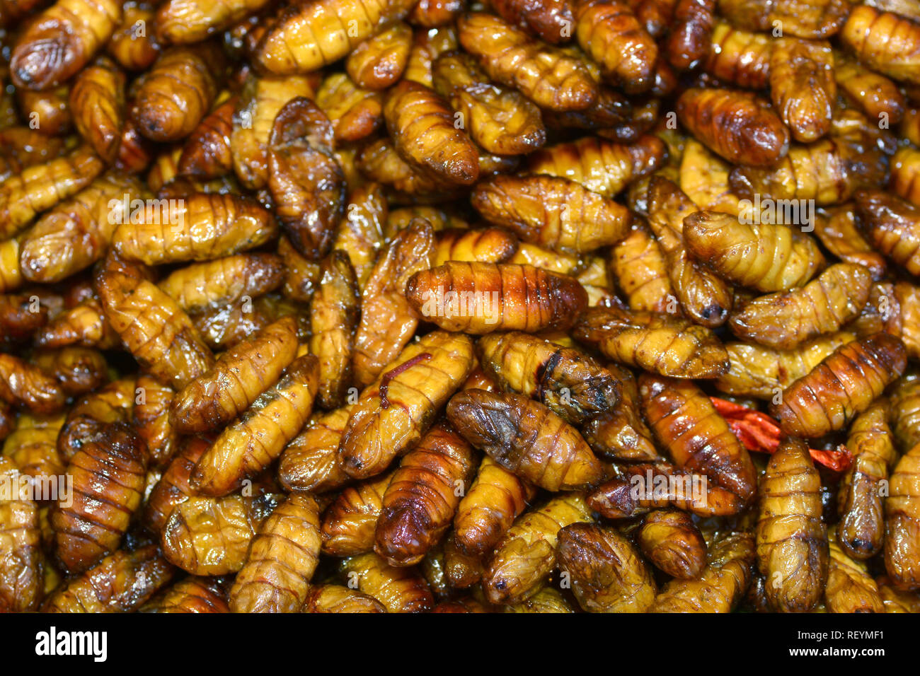 Gebratene Insekten in Bangkok ** Hinweis Wählen Sie Fokus mit geringer Tiefenschärfe Stockfoto