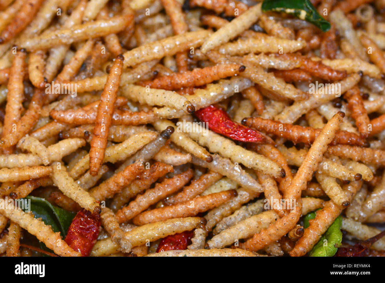 Gebratene Insekten in Bangkok ** Hinweis Wählen Sie Fokus mit geringer Tiefenschärfe Stockfoto