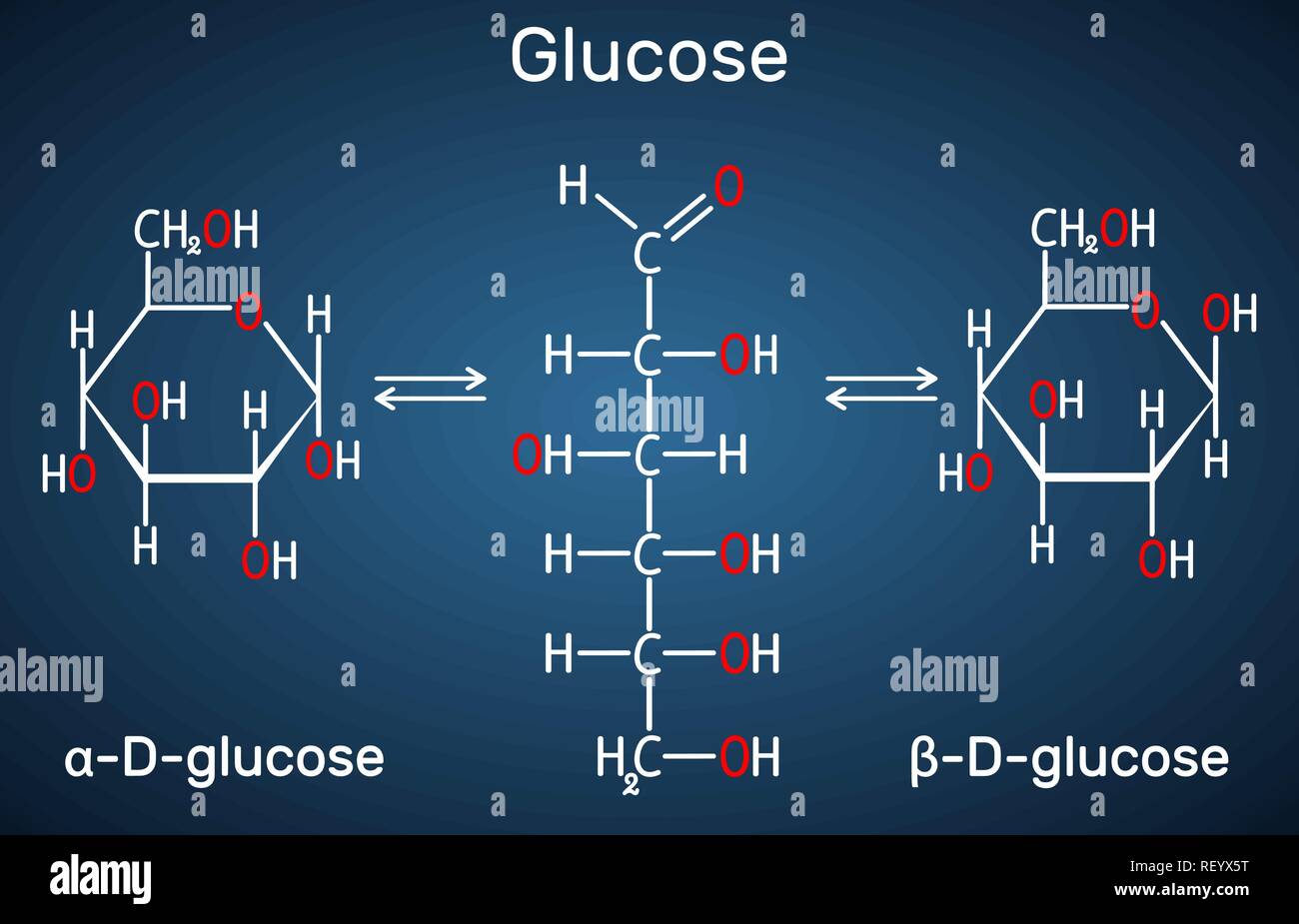 Glucose (Dextrose, DGlukose) Molekül. Сyclic und azyklische Formen. Strukturelle chemische