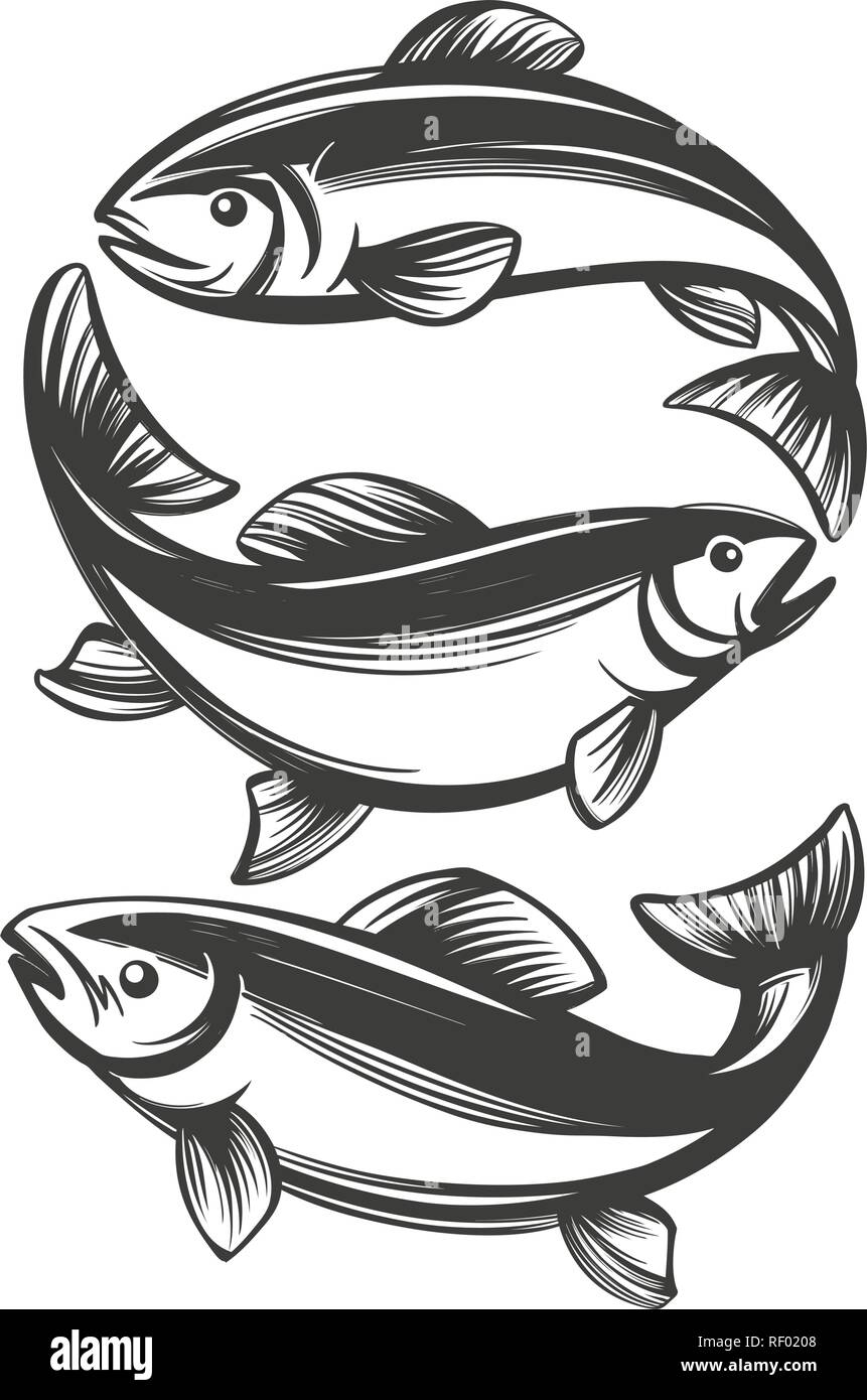 Fisch Icon Set, Angeln Symbol, hand Vektor-illustration realistische Skizze gezeichnet Stock Vektor