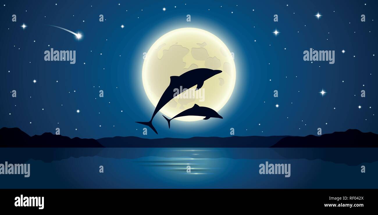 Zwei Delphine springen aus dem Wasser im Mondlicht Vektor-illustration EPS 10. Stock Vektor