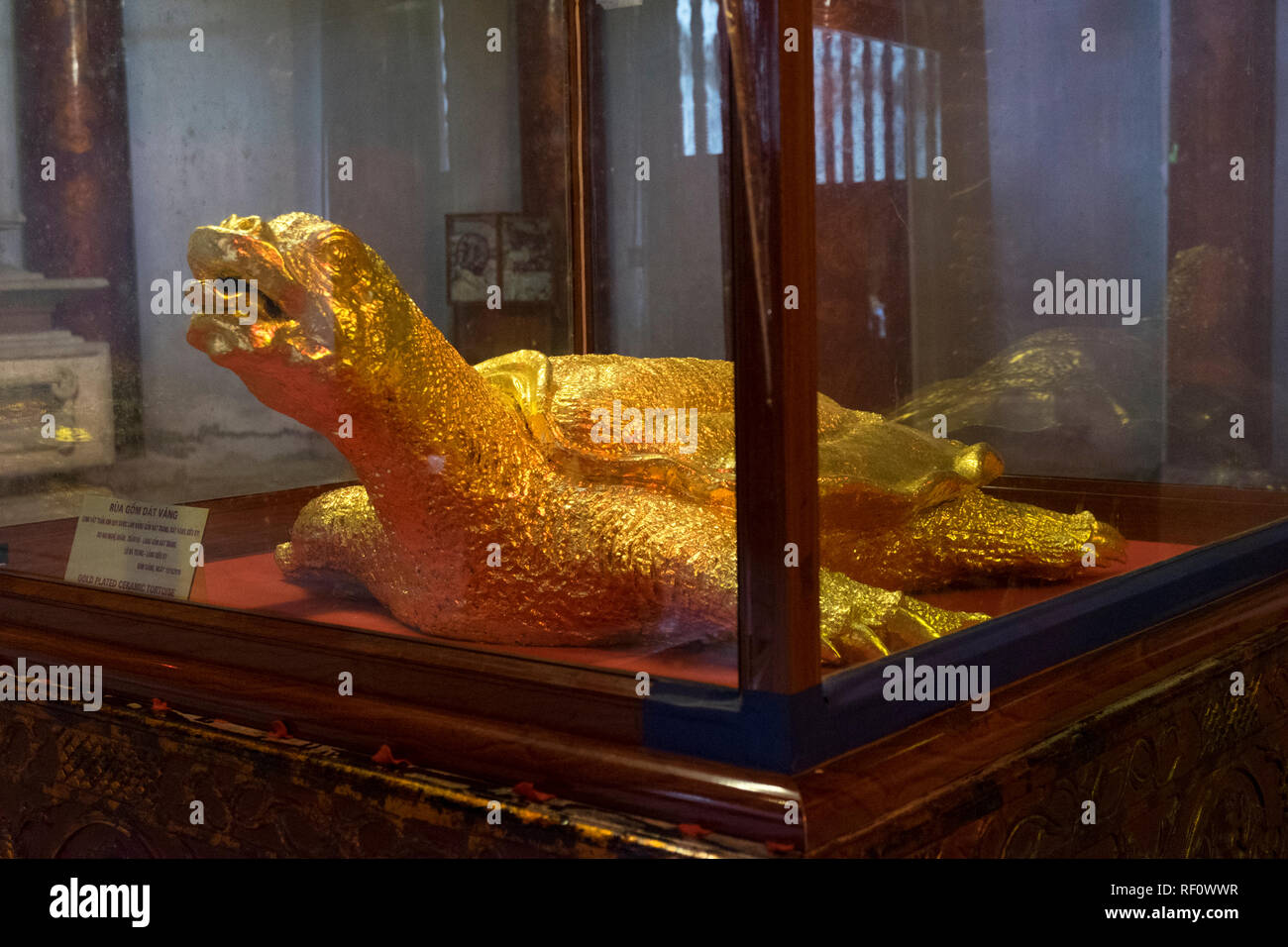 Eine heilige goldene Schildkröte im Tempel der Literatur in Hanoi, Vietnam. Stockfoto