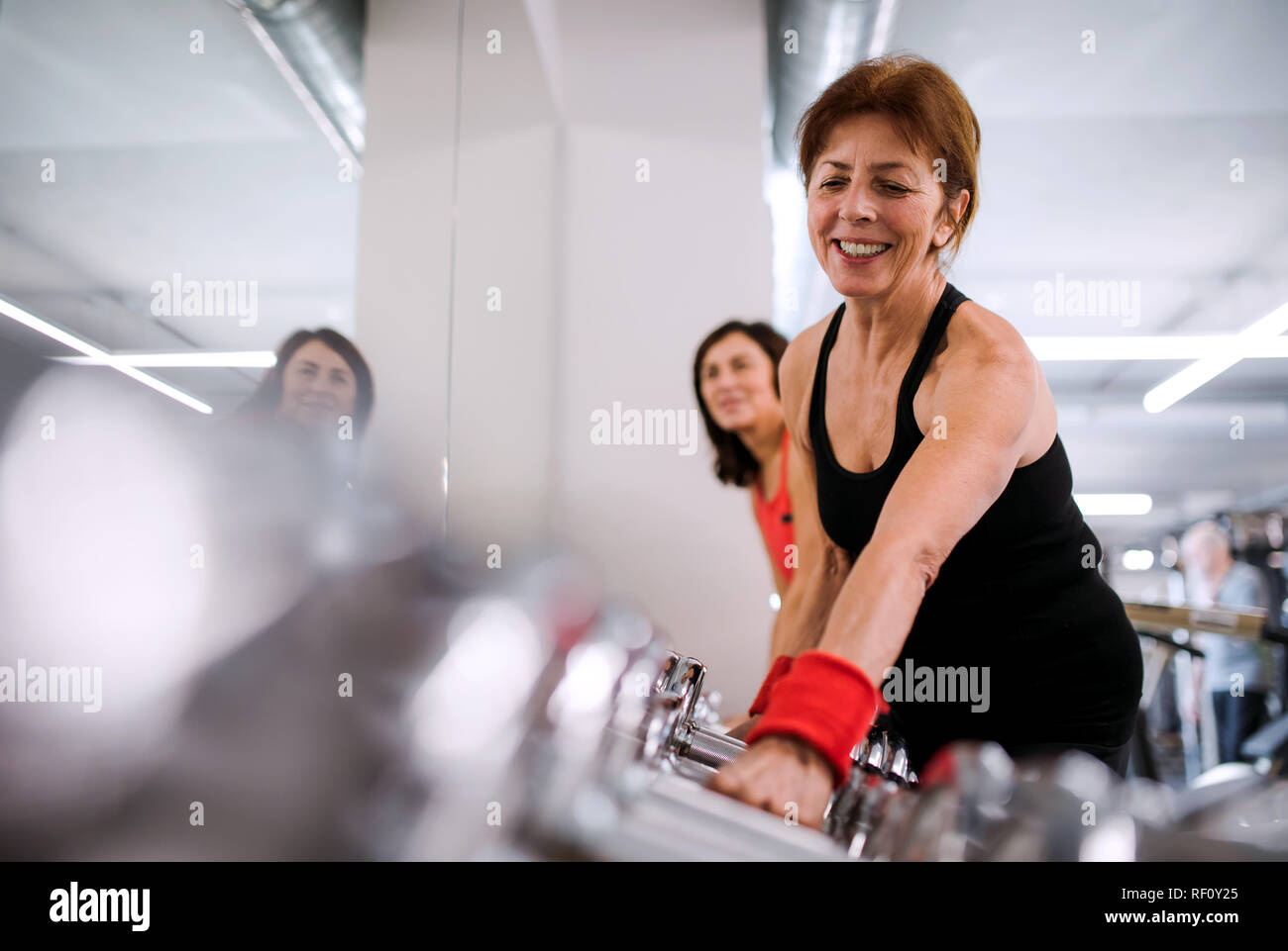 Eine Gruppe von fröhlichen weibliche Senioren in der Turnhalle tun Übung mit Hanteln. Stockfoto