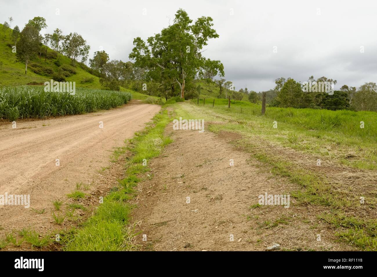 Der Weg zum Pionier und Mia Mia State Forest, Mia Mia State Forest, Queensland, Australien Stockfoto