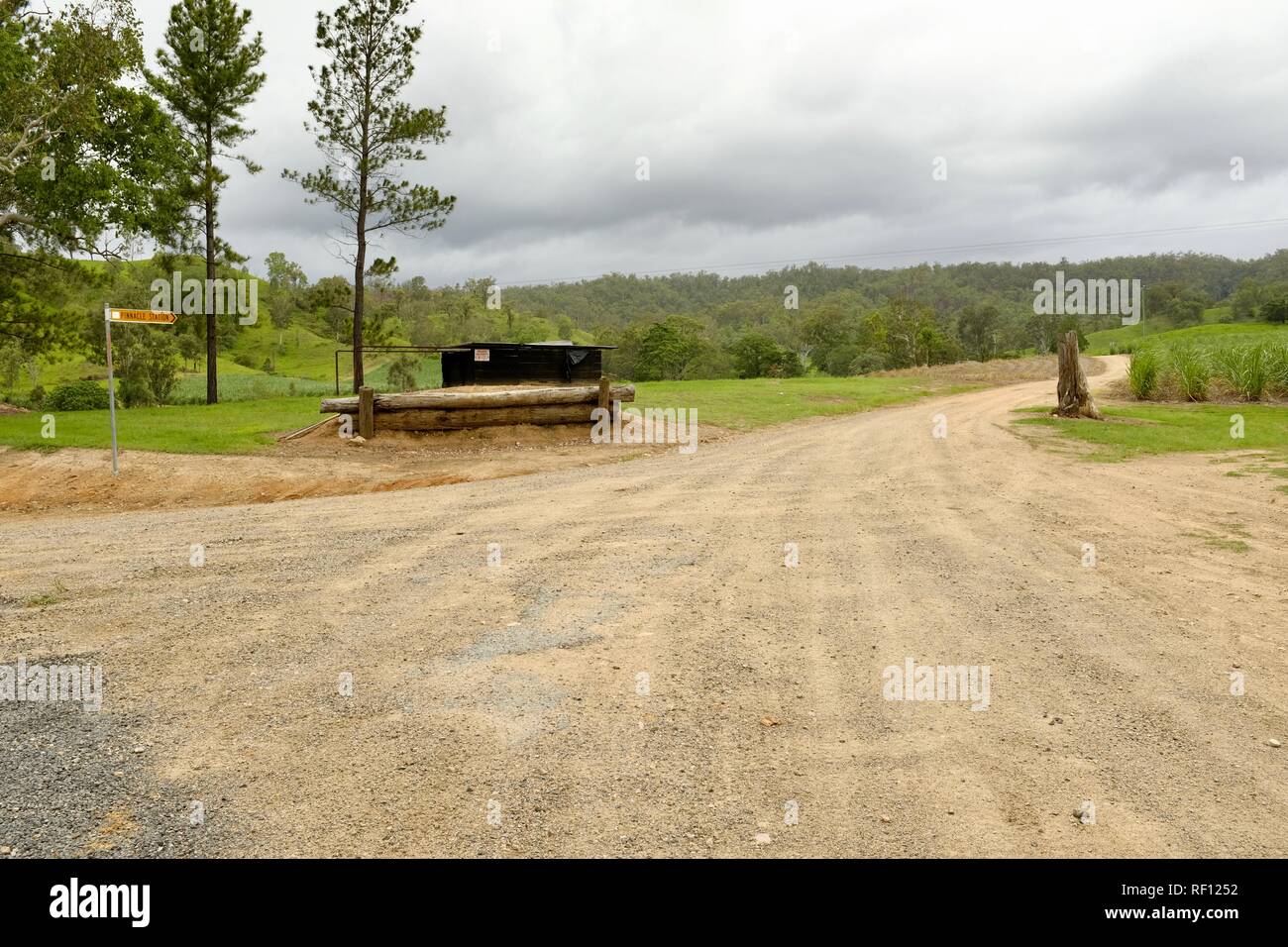 Der Weg zum Pionier und Mia Mia State Forest, Mia Mia State Forest, Queensland, Australien Stockfoto