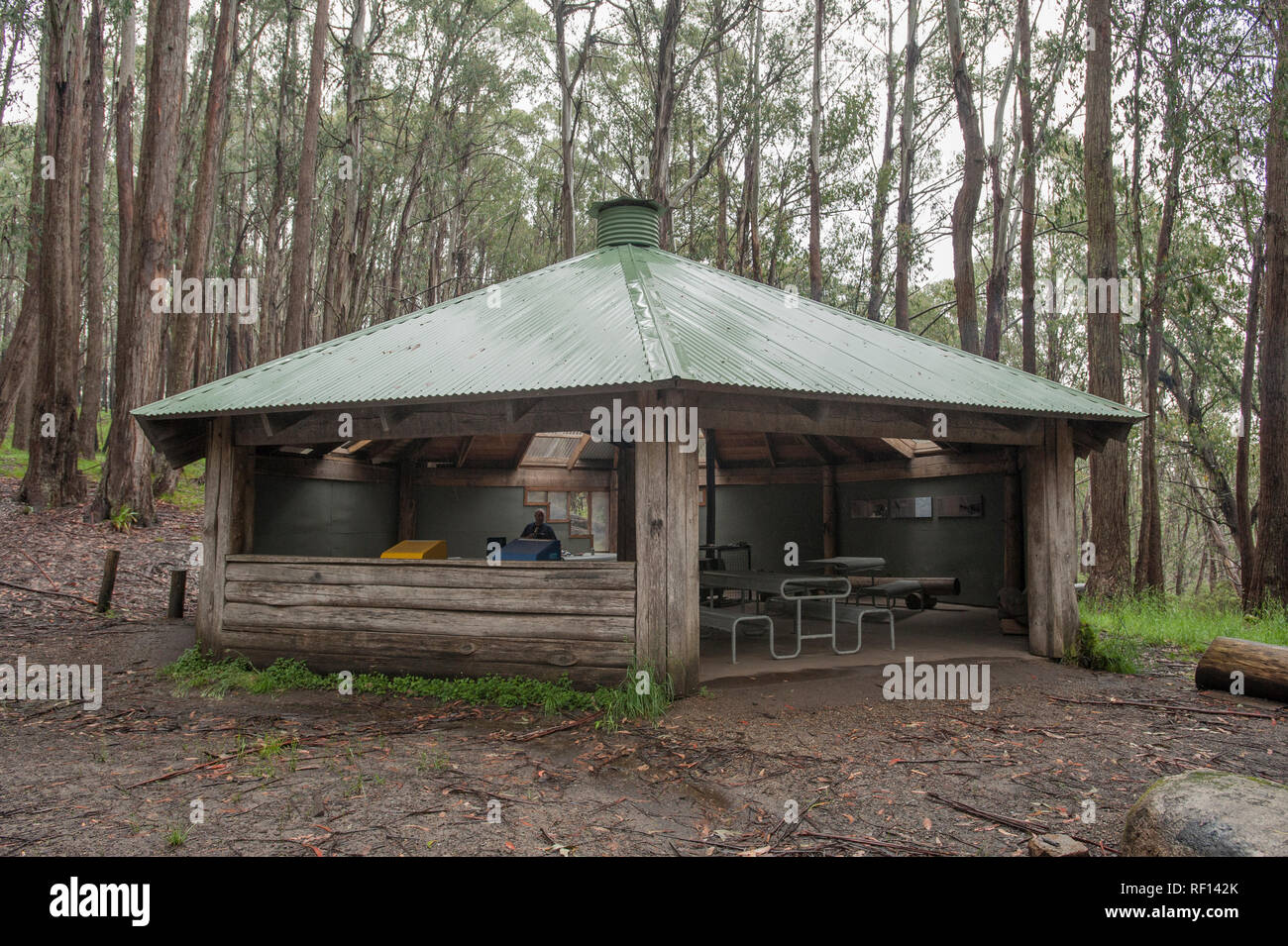 König Sattel Tierheim Stockfoto