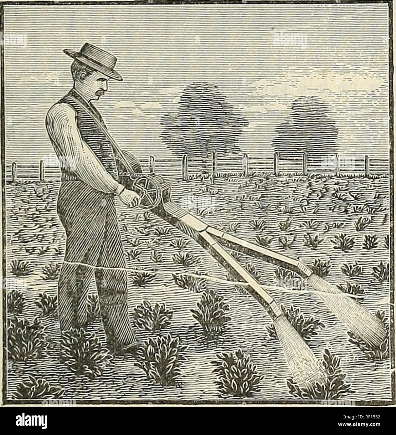 . Katalog der selbst angebauten Samen. Gartenarbeit United States Ausrüstungen und Zubehör Kataloge; Gemüse Samen United States Kataloge; Blumen Samen United States Kataloge; Frucht Samen United States Kataloge; Korn Samen Kataloge; Gartengeräte Kataloge. IgSf beim Vergleich unsere Preise mit denen anderer Händler, unsere Rabatte nicht vergessen. Siehe Seite 1. Bitte bei Ihren Bestellungen frühe, als gut für Sie ist und besser für uns zu senden. Wenn Sie eine spezielle Quote, diese bitte bei der Bestellung. Wenn Ihre Bestellungen werden wahrscheinlich groß sein, senden Sie bitte und lassen Sie sie im Voraus festgesetzt. Stockfoto