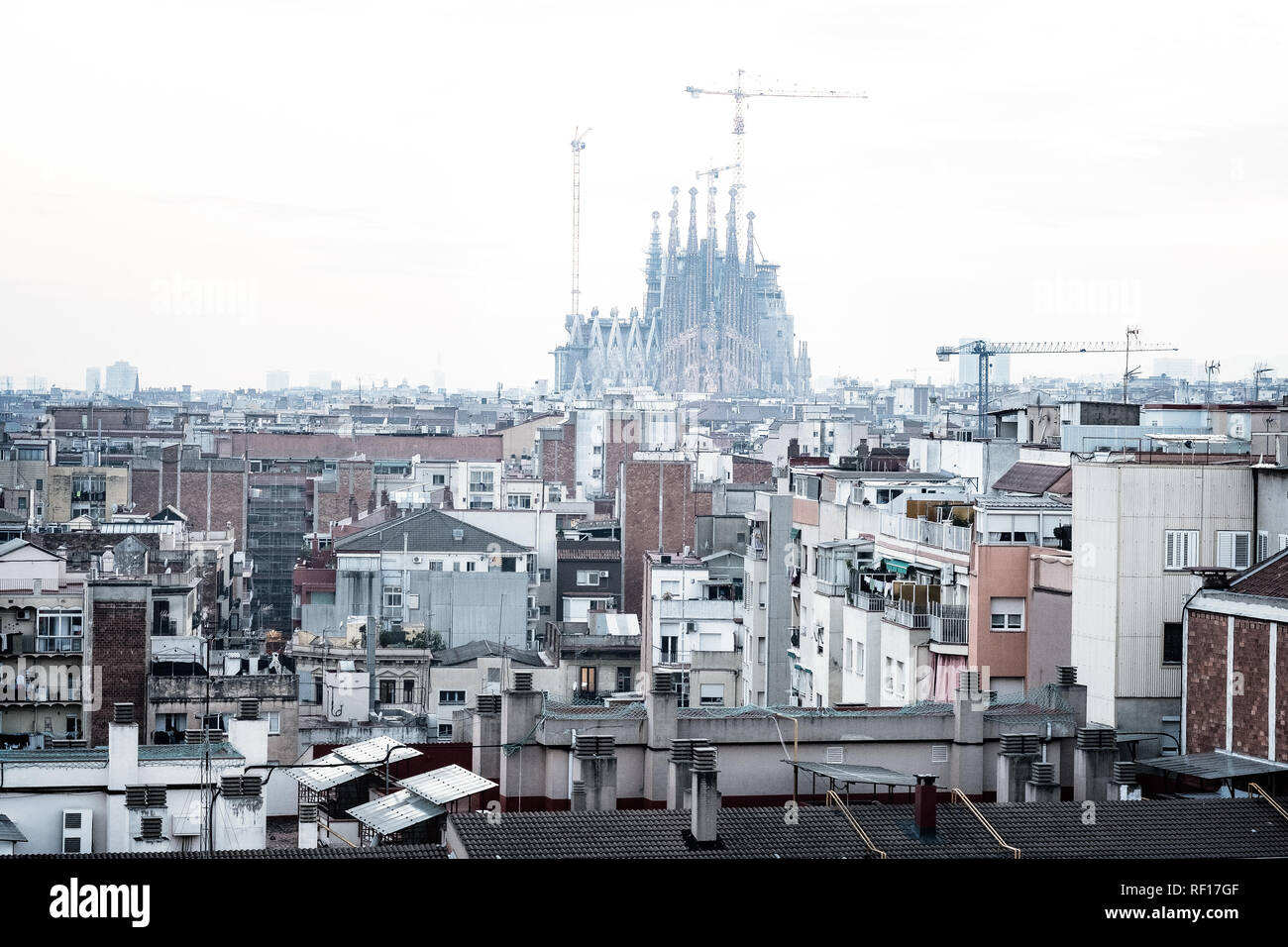 Blick über die Dächer von Barcelona die Sagrada Famillia. Stockfoto