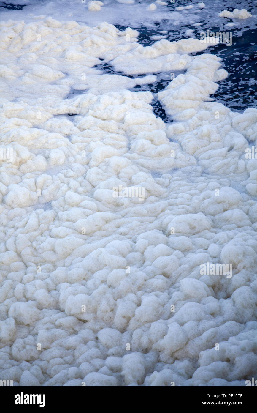 Meer Schaum Stockfoto
