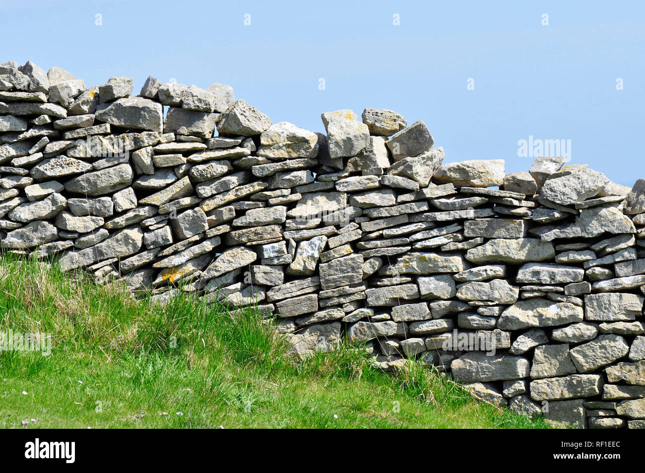 Trockenmauer auf der Isle of Purbeck, Dorset. Grobe Kalkstein Wand mit zufälligen Kurse teilt abfallenden Küsten Felder Stockfoto