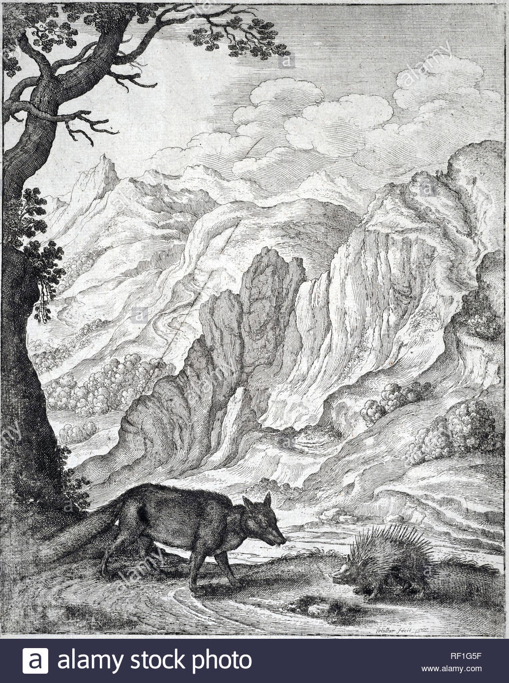 Der Fuchs und das Stachelschwein, einer der Aesops Fabeln, Radierung von Böhmische Kupferstecher Wenzel Hollar aus 1600s Stockfoto